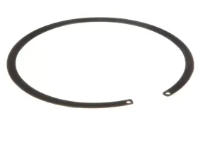 Delphi Fuel Tank Lock Ring