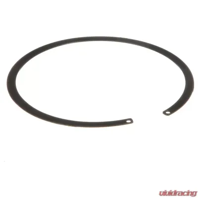 Delphi Fuel Tank Lock Ring - FA10022