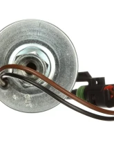 Delphi Electric Fuel Pump In-Line                                     - FD0009 - Image 3