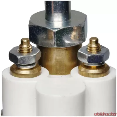 Delphi Electric Fuel Pump In-Line - FD0029