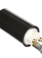 Delphi Electric Fuel Pump Jaguar In-Line                                     - FE0071 - Image 9