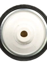 Delphi Electric Fuel Pump Jaguar In-Line                                     - FE0071 - Image 3