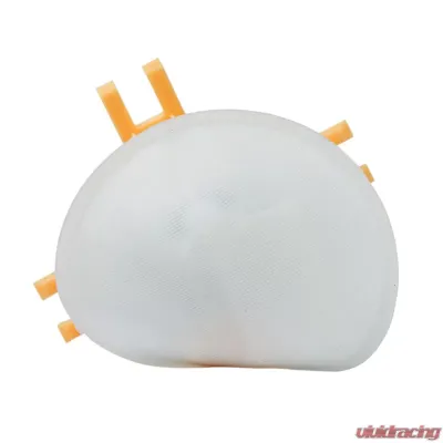 Delphi Fuel Pump and Strainer Set BMW - FE0152