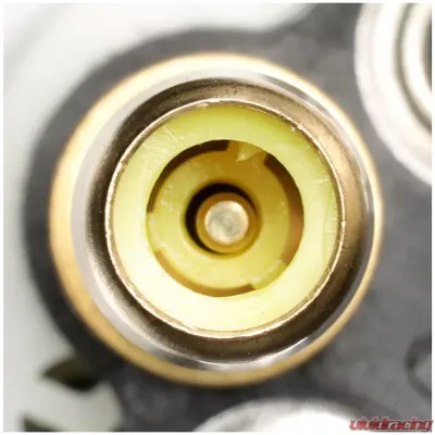 Delphi Fuel Pump and Strainer Set - FE0431