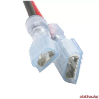 Delphi Fuel Pump and Strainer Set Ford - FE0442