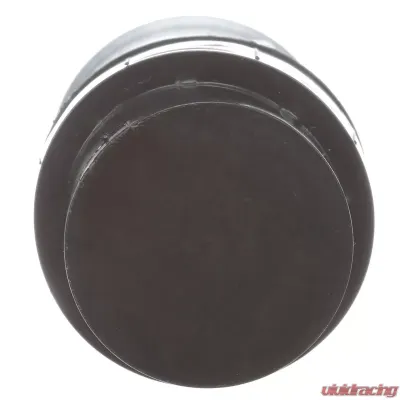 Delphi Fuel Pump and Strainer Set BMW - FE0538