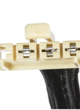 Delphi Fuel Pump and Strainer Set Land Rover                                     - FE0696 - Image 4