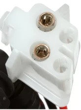 Delphi Fuel Pump and Strainer Set BMW i3 2014-2020 0.6L 2-Cyl                                     - FE0740 - Image 5