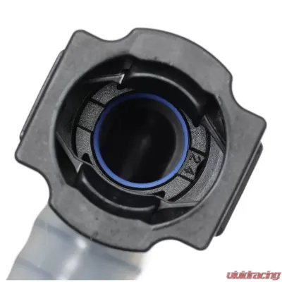 Delphi Fuel Pump and Strainer Set Porsche - FE0775