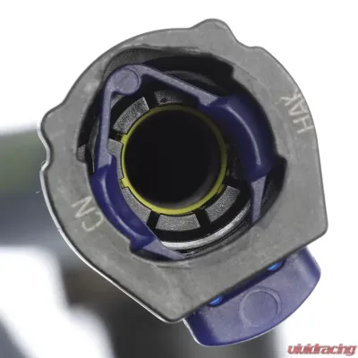 Delphi Fuel Pump and Strainer Set Porsche - FE0775