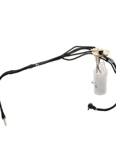 Delphi Fuel Pump Module Assembly Chevrolet 1997 3.4L V6                                     - FG0019 - Image 2