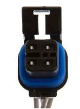 Delphi Fuel Pump Module Assembly                                     - FG0111 - Image 4
