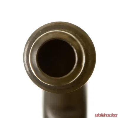 Delphi Fuel Pump Module Assembly - FG0831