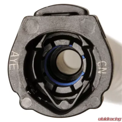 Delphi Fuel Pump and Strainer Set Volkswagen Touareg Right 2004-2007 - FG1404