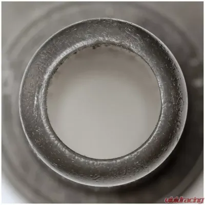 Delphi Fuel Pump Module Assembly Cadillac CT6 2016-2018 - FG2243