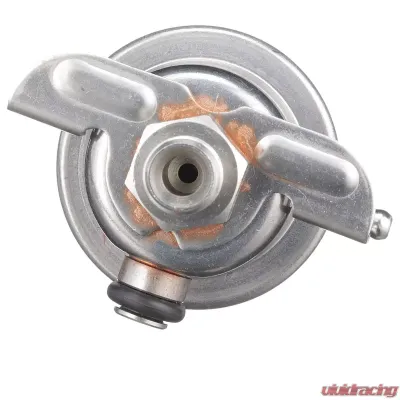Delphi Fuel Injection Pressure Regulator Ford - FP10044