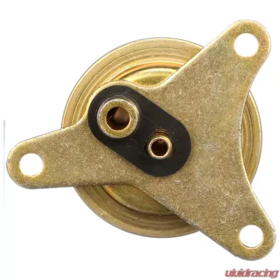 Delphi Fuel Injection Pressure Regulator - FP10391