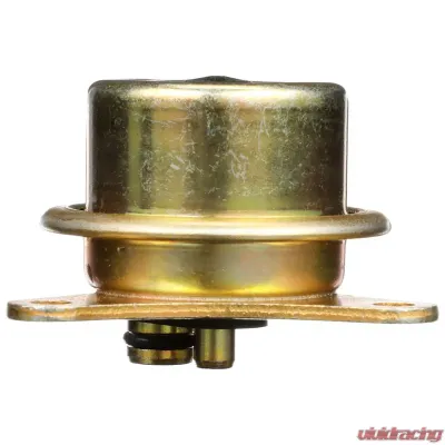 Delphi Fuel Injection Pressure Regulator - FP10391