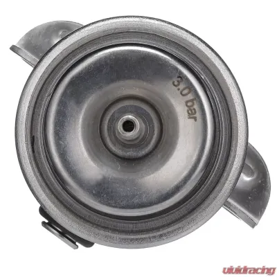 Delphi Fuel Injection Pressure Regulator - FP10509