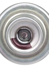 Delphi Fuel Injection Pressure Regulator                                     - FP10666 - Image 7