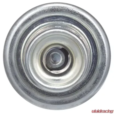 Delphi Fuel Injection Pressure Regulator - FP10702