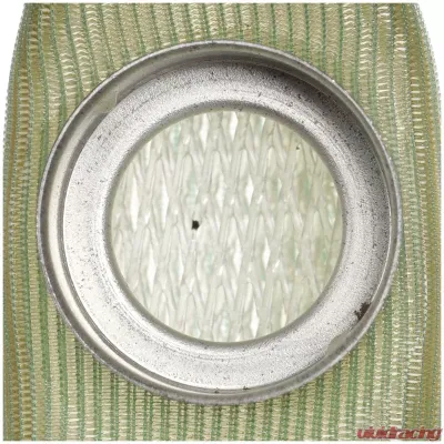 Delphi Fuel Pump Strainer - FS0003