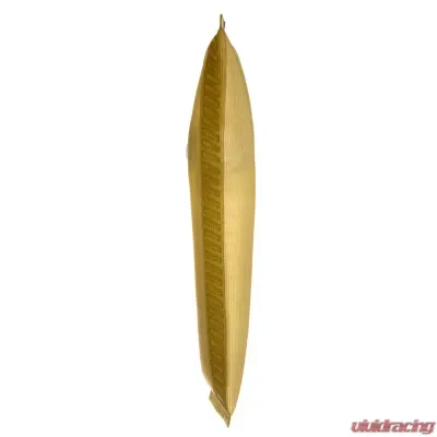 Delphi Fuel Pump Strainer - FS0010