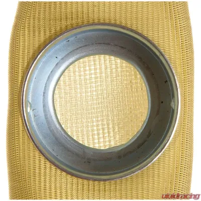 Delphi Fuel Pump Strainer - FS0010
