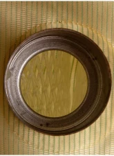 Delphi Fuel Pump Strainer                                     - FS0011 - Image 4