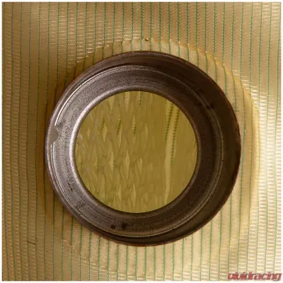 Delphi Fuel Pump Strainer - FS0011