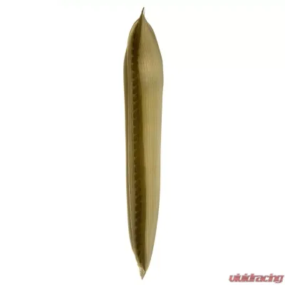 Delphi Fuel Pump Strainer - FS0021