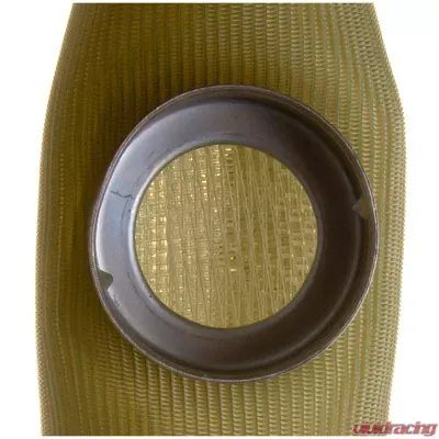 Delphi Fuel Pump Strainer - FS0021