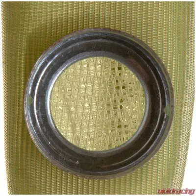 Delphi Fuel Pump Strainer - FS0022