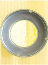 Delphi Fuel Pump Strainer                                     - FS0031 - Image 4