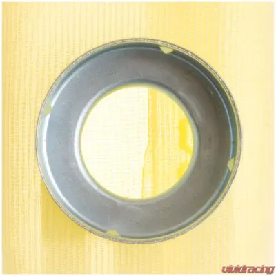 Delphi Fuel Pump Strainer - FS0031