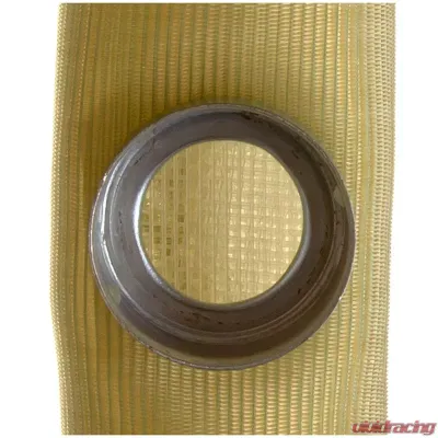 Delphi Fuel Pump Strainer - FS0034