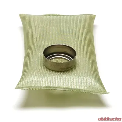 Delphi Fuel Pump Strainer - FS0136