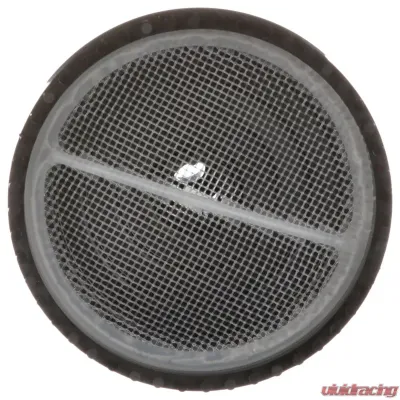 Delphi Fuel Pump Strainer Ford - FS0204