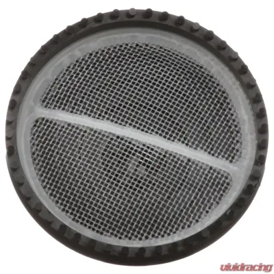 Delphi Fuel Pump Strainer Ford - FS0204