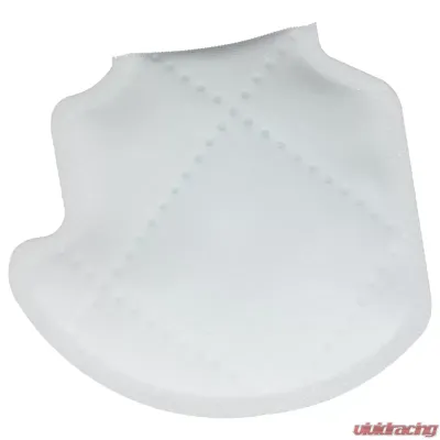 Delphi Fuel Pump Strainer - FS0208