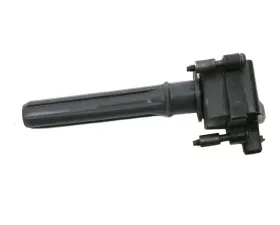 Delphi Ignition Coil