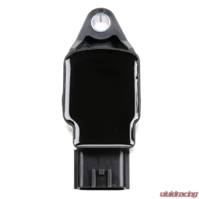 Delphi Ignition Coil - GN10244