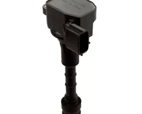 Delphi Ignition Coil