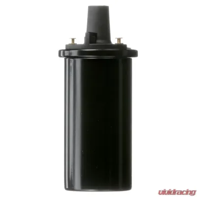 Delphi Ignition Coil - GN10273