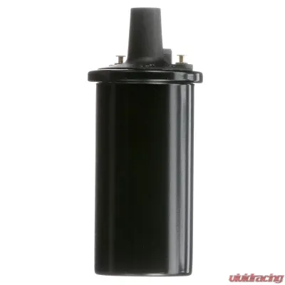 Delphi Ignition Coil - GN10273