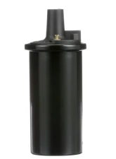 Delphi Ignition Coil                                     - GN10273 - Image 5