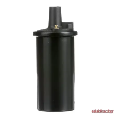 Delphi Ignition Coil - GN10273