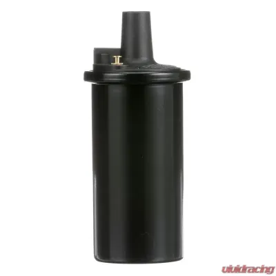Delphi Ignition Coil - GN10273