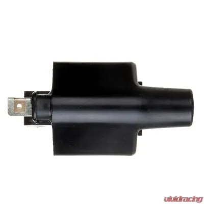 Delphi Ignition Coil - GN10275