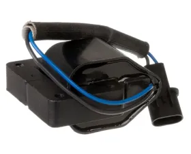 Delphi Ignition Coil